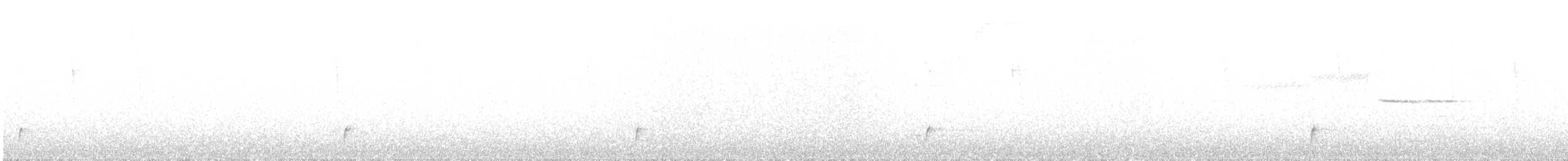 Дрізд-короткодзьоб Cвенсона - ML159956581