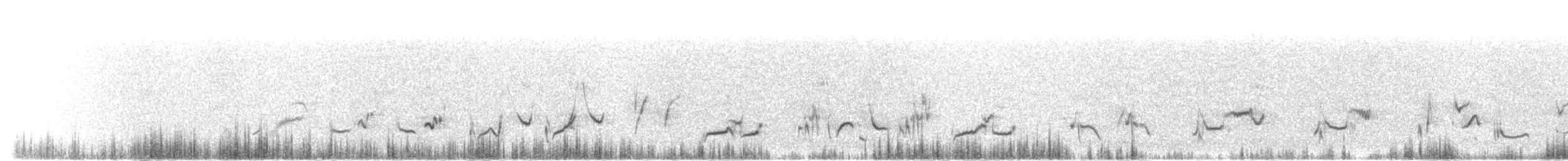 Пустынный пересмешник (lecontei/macmillanorum) - ML159962021