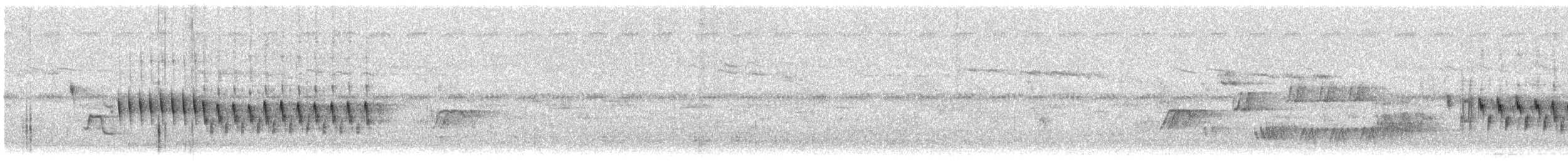Кропив'янка прудка (підвид curruca/blythi/hamertoni) - ML159996291
