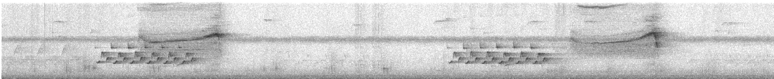 Полосатая неясыть - ML160030961