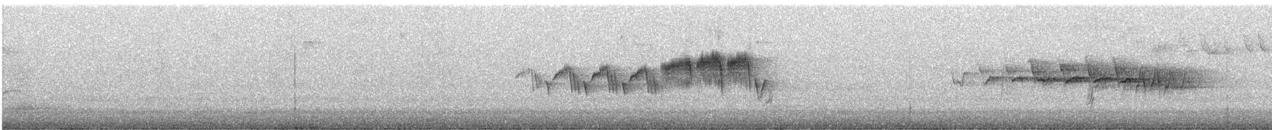stryparula - ML160031561