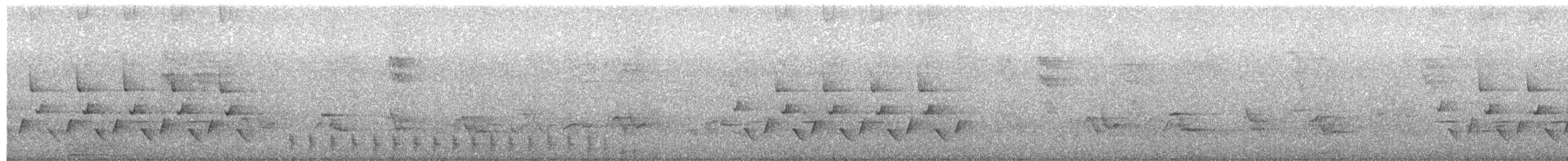 Поплітник каролінський - ML160041811