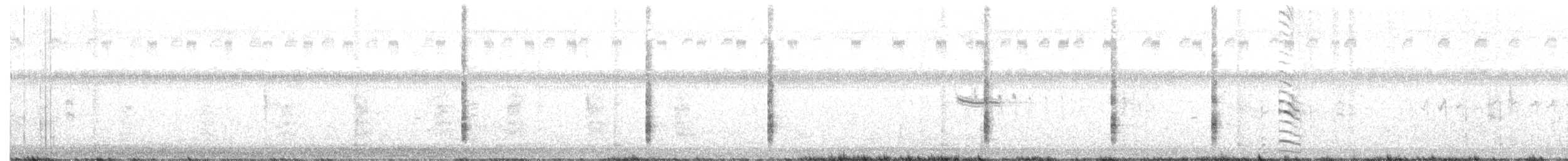 King Rail - ML160054751