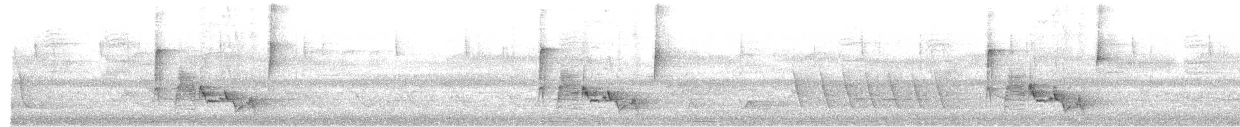 White-eyed Vireo - ML160077011