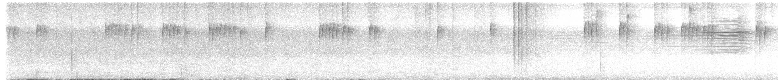 Stripe-tailed Hummingbird - ML160082811