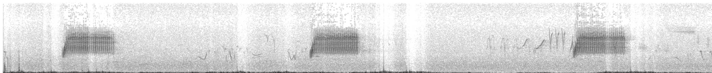 Fleckengrundammer - ML160160671