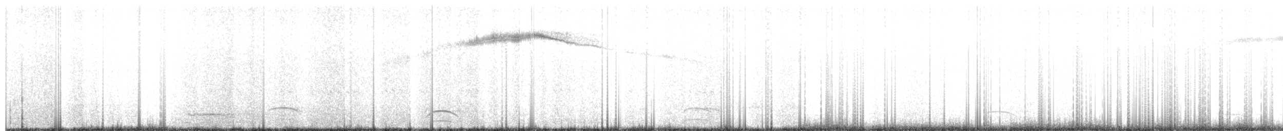 Costa's Hummingbird - ML160161081