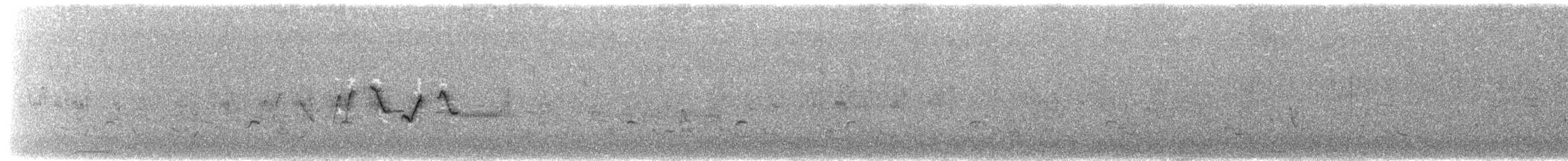 Paruline à calotte grise - ML160161471