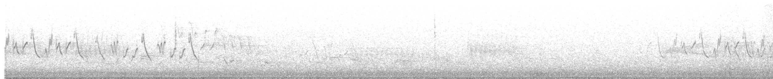 Common Yellowthroat - ML160164911