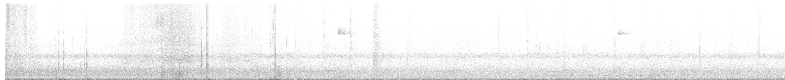 Winternachtschwalbe - ML160178471