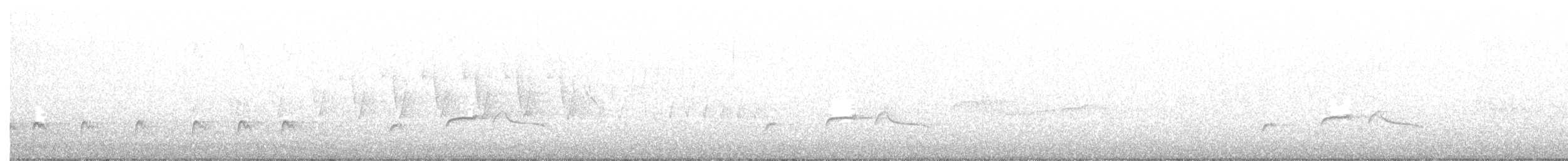 tyranovec severský - ML160202971