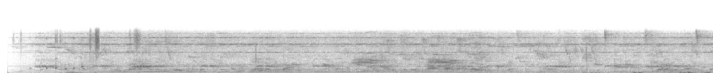 Grünbartvogel - ML160215061