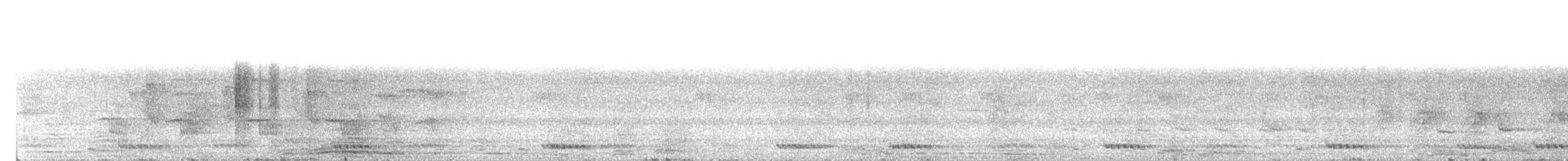 Grünbartvogel - ML160215071