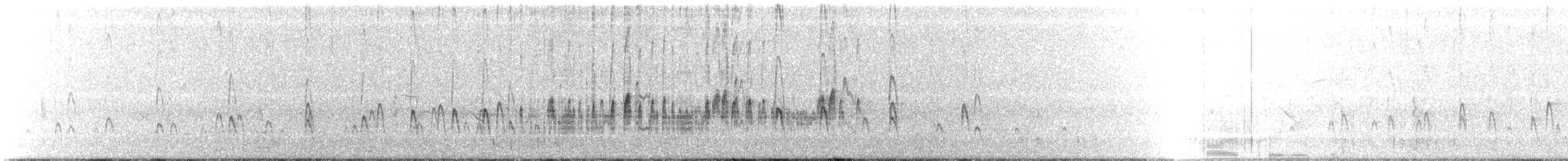 Schlankschnabel-Regenpfeifer - ML160218551