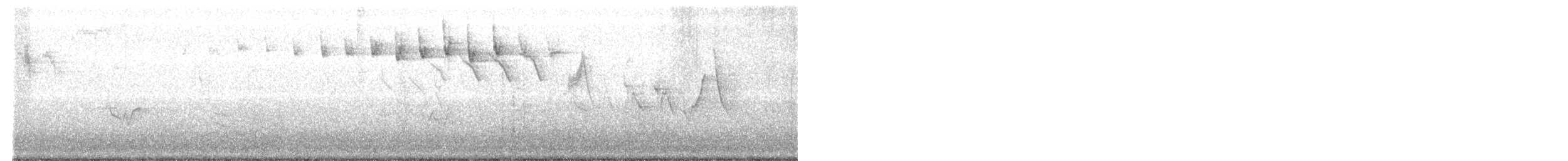 Blackpoll Warbler - ML160218901