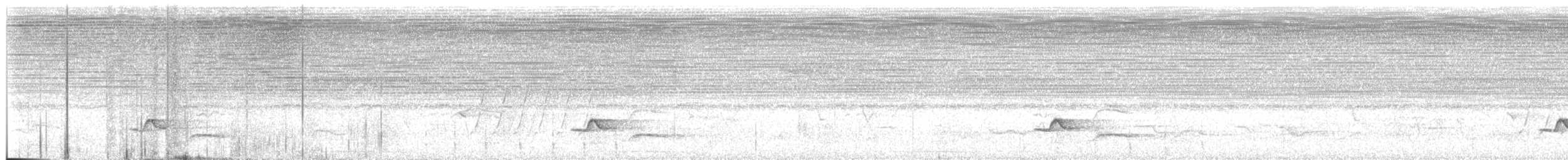 Белогрудый крапивник - ML160286841