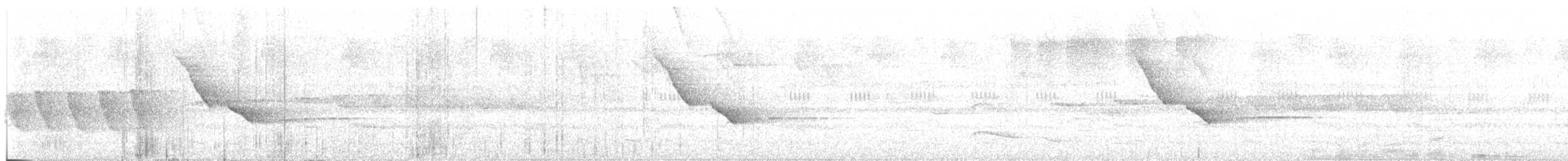 Белогрудый крапивник - ML160291361