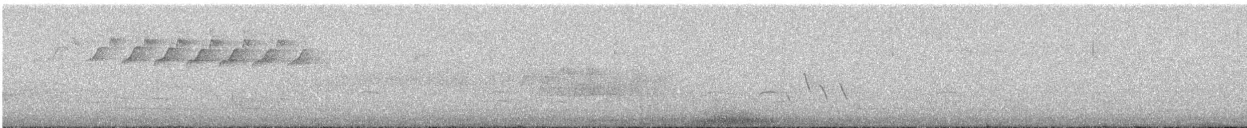 lesňáček černobílý - ML160294081