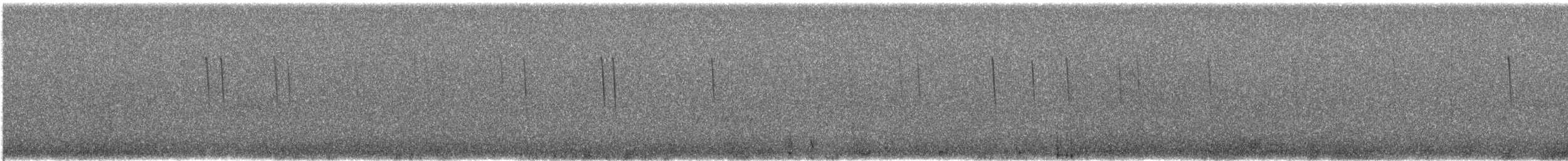 Colibri lucifer - ML160316531