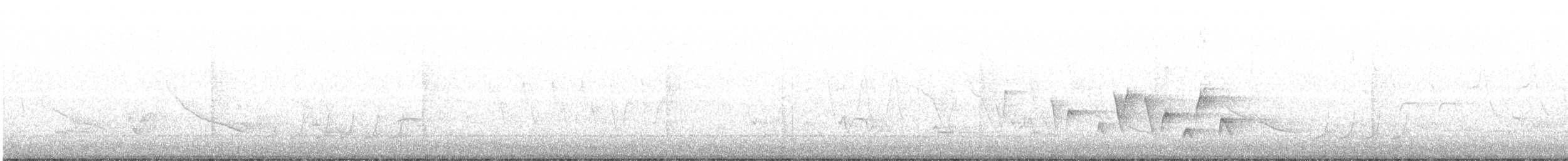 Connecticut Warbler - ML160426741