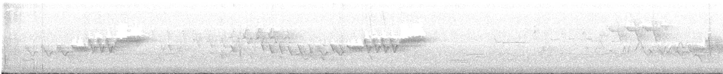 Cerulean Warbler - ML160460261