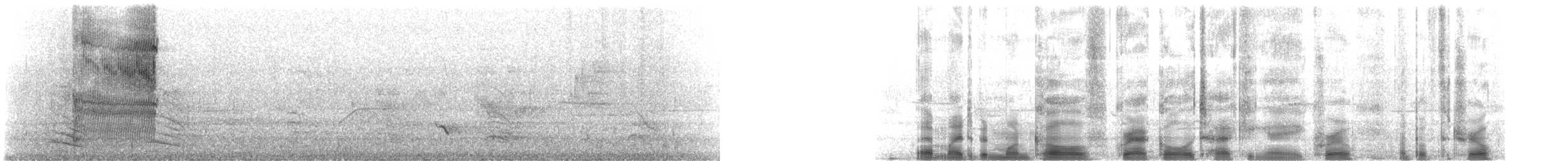 vlhovec lesklý (ssp. versicolor) - ML160492601