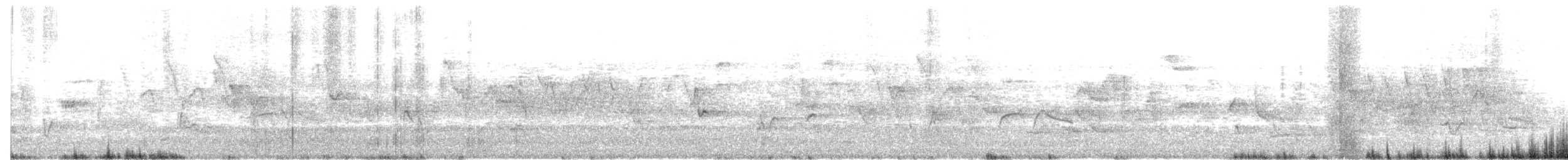 Olivflanken-Schnäppertyrann - ML160586001