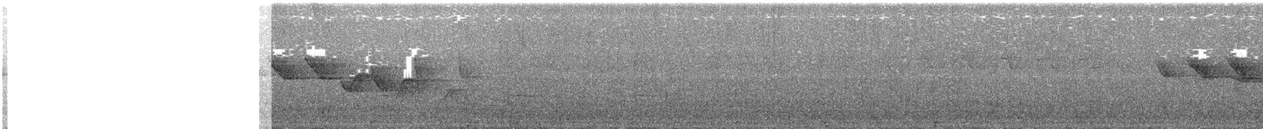 Трясогузковый певун - ML160593611