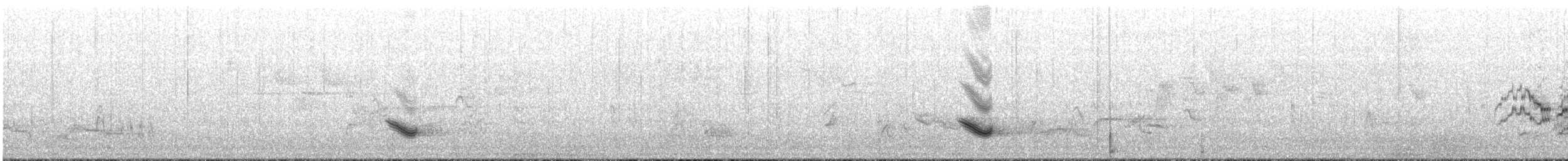 Дрізд-короткодзьоб бурий - ML160617661