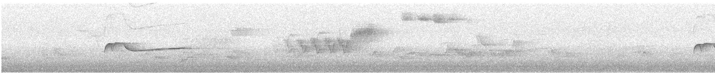 Eastern Wood-Pewee - ML160643371