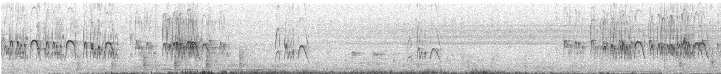 Martinet batassia - ML160722711