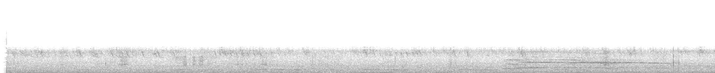 Pintade de Numidie (forme domestique) - ML160727171