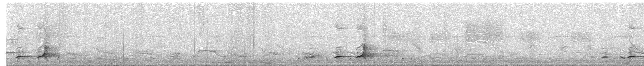 Crested Bobwhite (Spot-bellied) - ML160788761