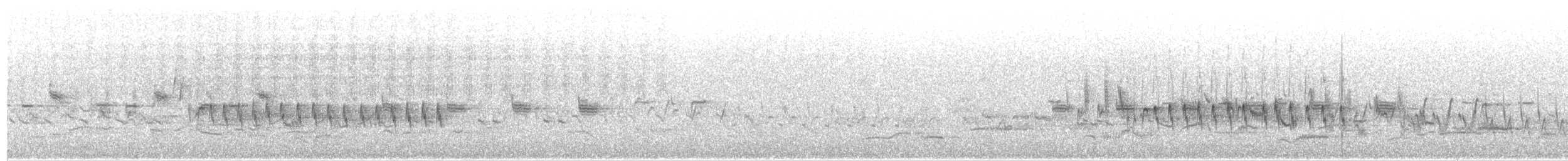 Klappergrasmücke (curruca/blythi/halimodendri) - ML160804621