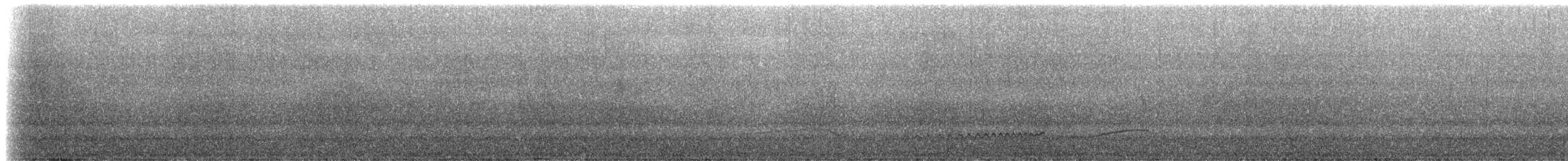 Whimbrel (Hudsonian) - ML160853951