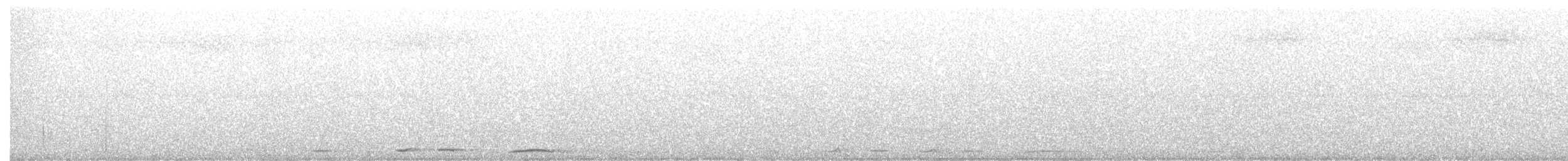 holub krátkozobý - ML160898151