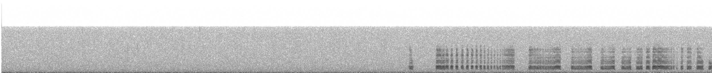 Océanite de Hornby - ML160909881