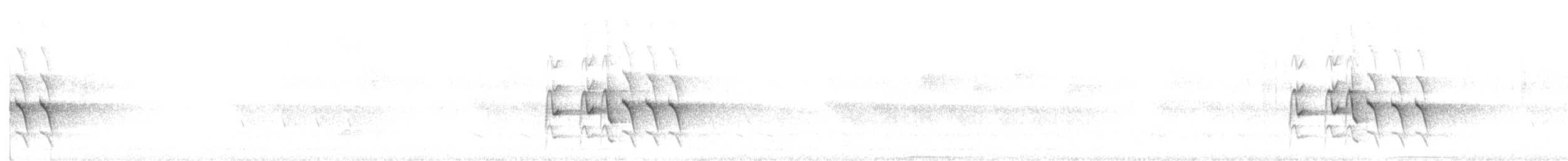 holub běloprsý - ML160948021