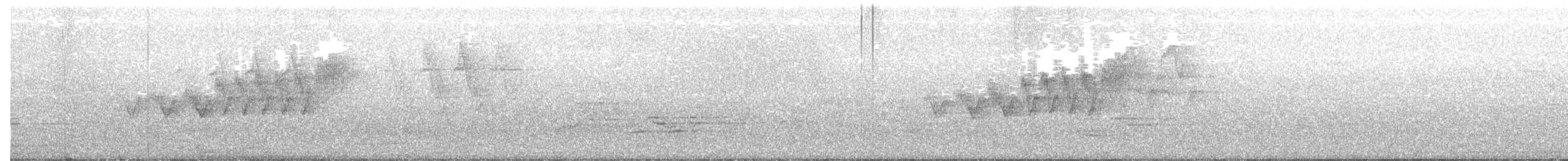 Cerulean Warbler - ML161035471