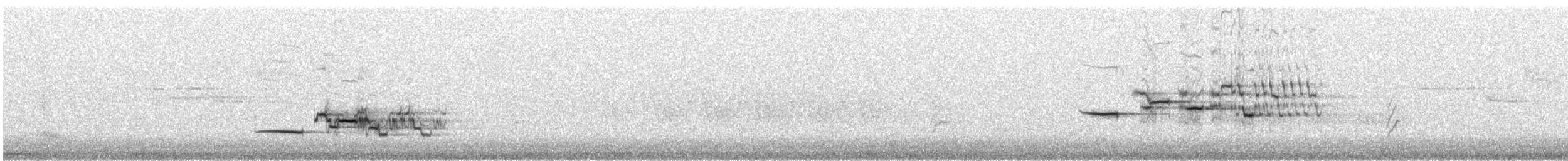 Münzevi Bülbül Ardıcı - ML161104111