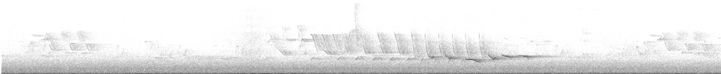 Baltimore Oriole - ML161124351