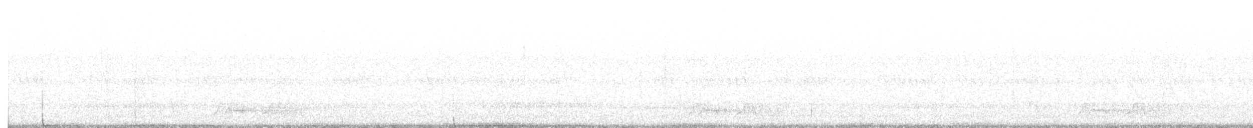 Carolinanachtschwalbe - ML161131051