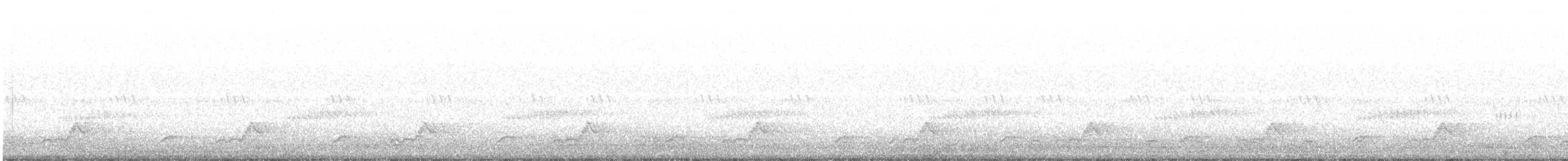 Chotacabras Cuerporruín Norteño - ML161144681