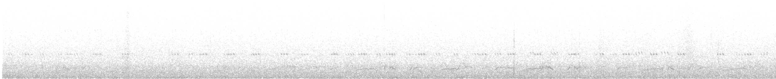 Carolinanachtschwalbe - ML161151071