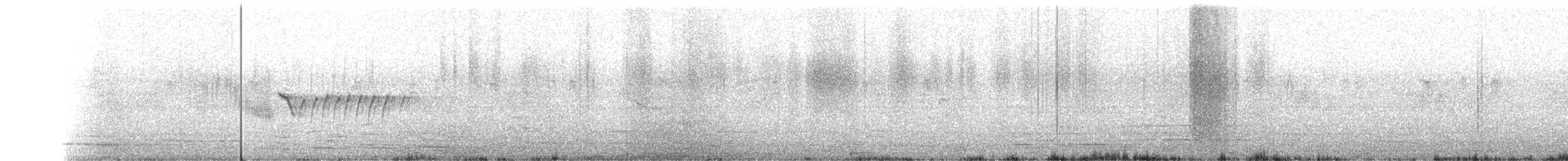 Горихвістка чорна (підвид gibraltariensis/aterrimus) - ML161191091