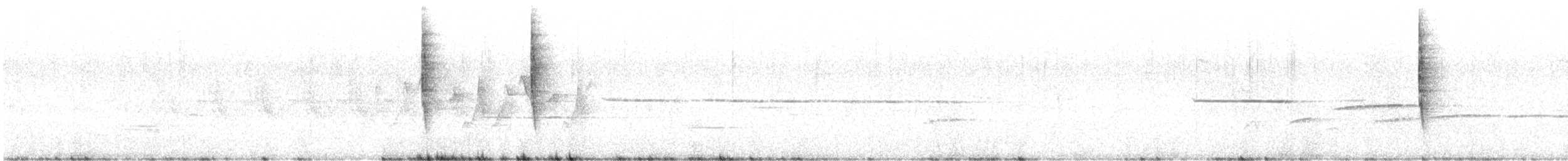 Paruline à calotte noire - ML161215901