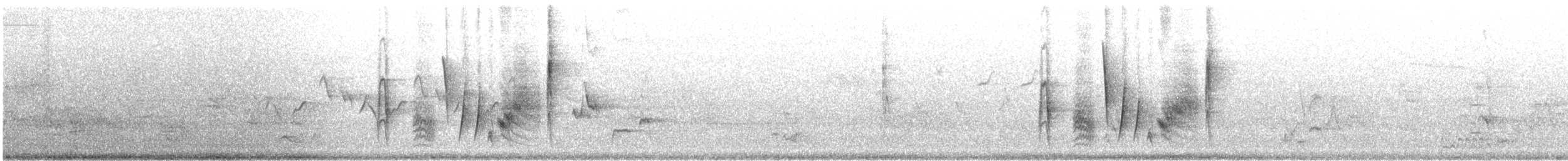 White-eyed Vireo - ML161217661