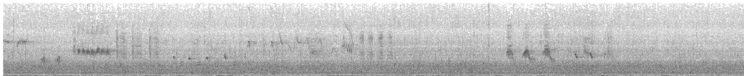 Mirlo Acuático Norteamericano - ML161229191