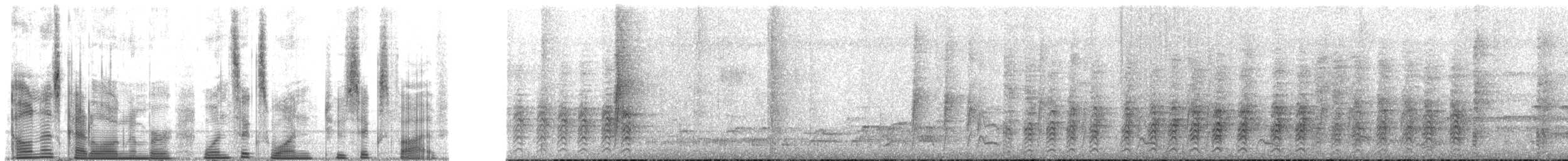 Criniger sp. - ML161265