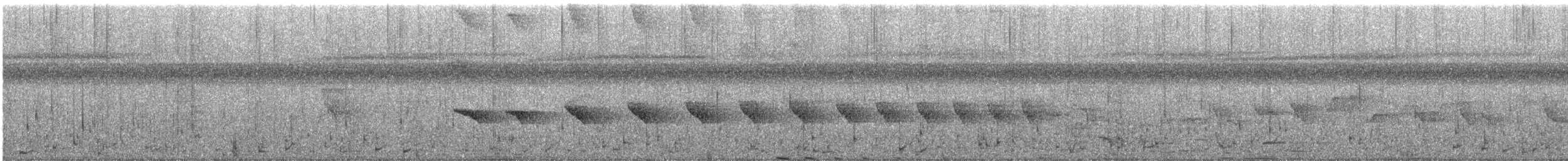 Nacktstirn-Ameisenvogel - ML161266711